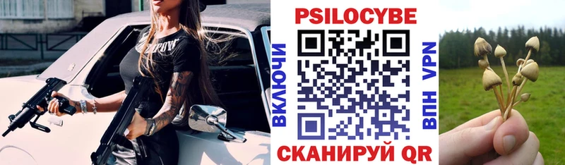 Псилоцибиновые грибы Psilocybine cubensis  Пойковский 