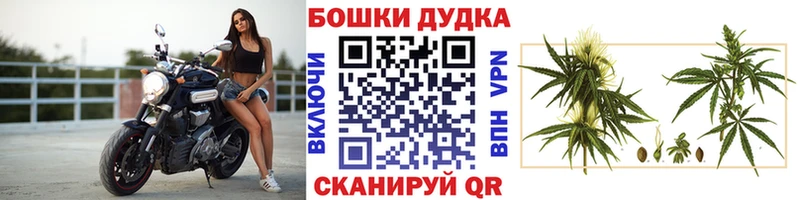 Бошки Шишки Amnesia  kraken ссылки  Пойковский 